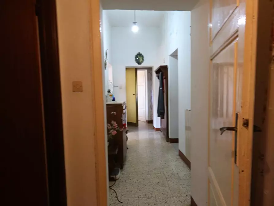 Immagine 18 di Terratetto in vendita  a Buti