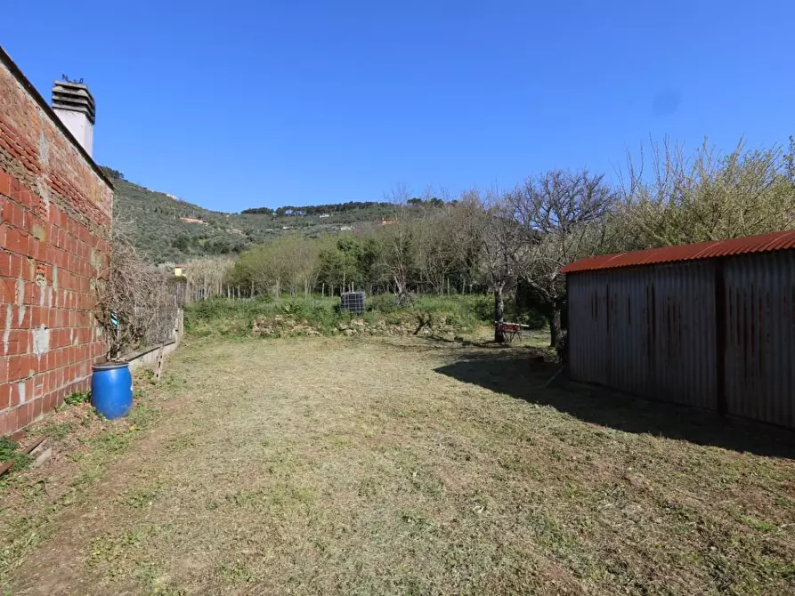 Immagine 22 di Terratetto in vendita  a Buti