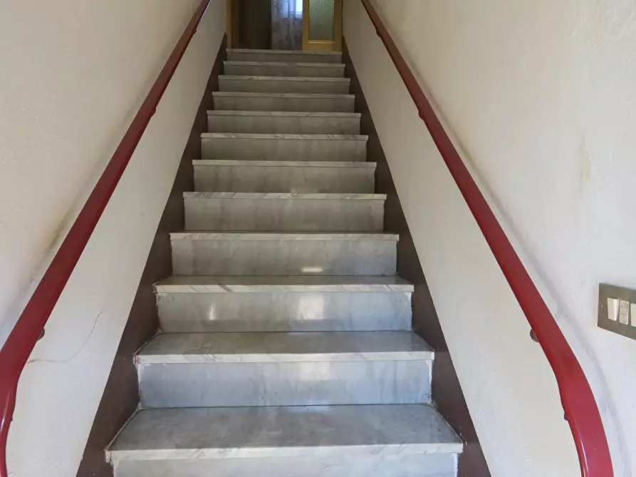 Immagine 5 di Terratetto in vendita  a Buti