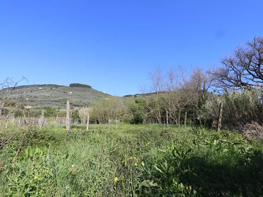 Immagine 23 di Terratetto in vendita  a Buti