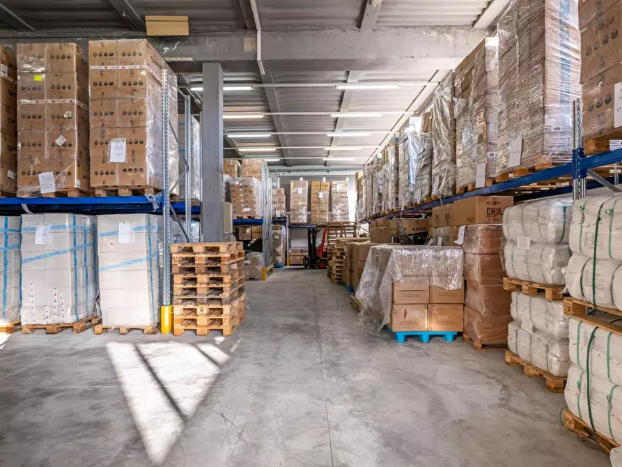 Immagine 65 di Capannone industriale in vendita  a Calcinaia