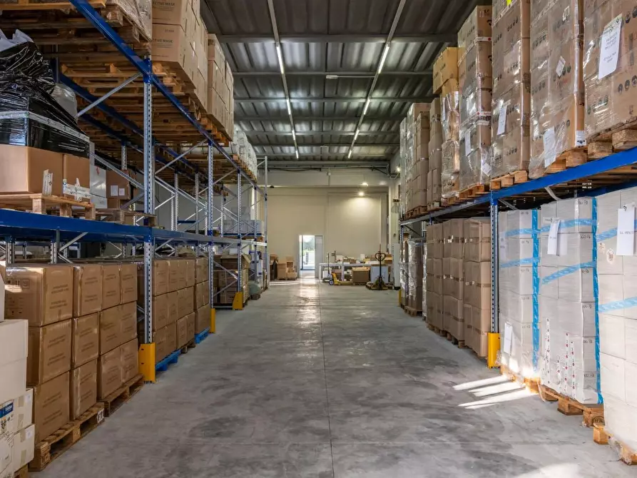 Immagine 66 di Capannone industriale in vendita  a Calcinaia