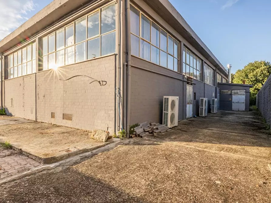 Immagine 116 di Capannone industriale in vendita  a Calcinaia