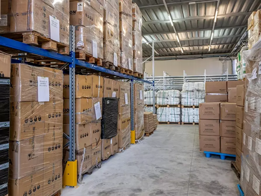 Immagine 68 di Capannone industriale in vendita  a Calcinaia