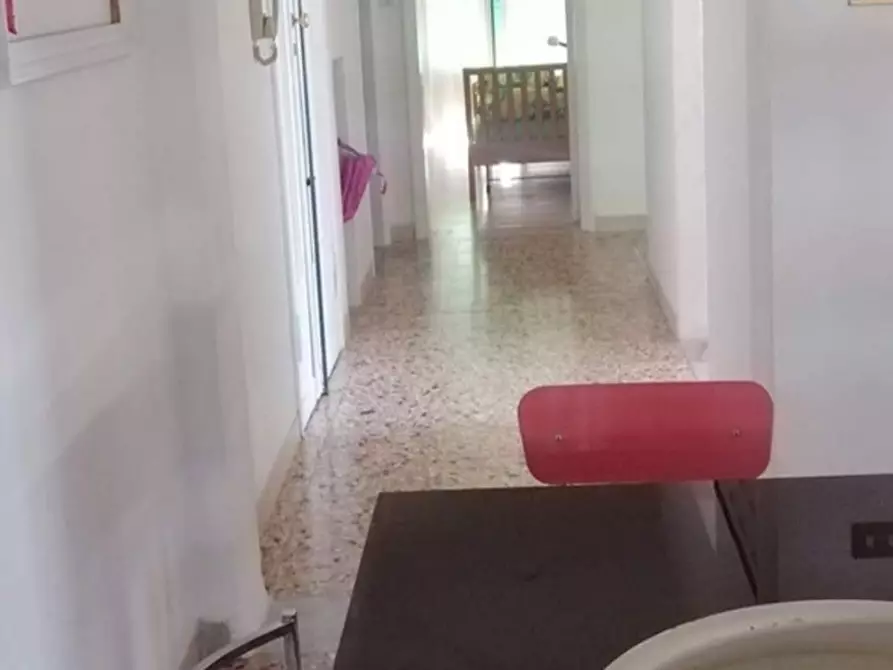 Immagine 17 di Appartamento in affitto  a Pisa