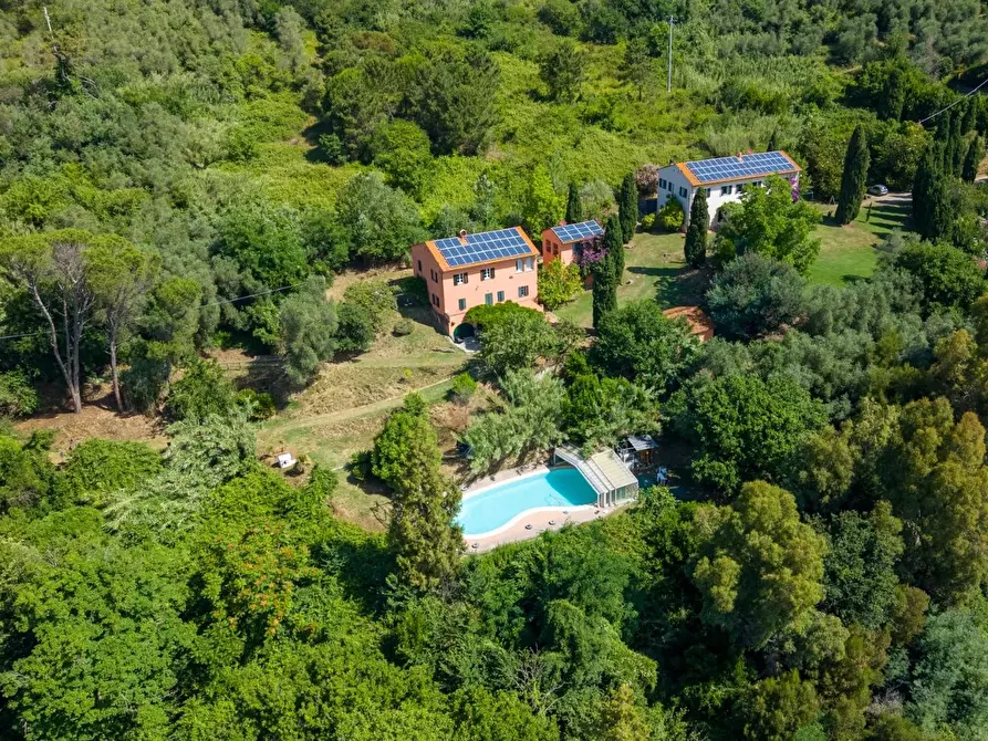 Immagine 9 di Casa colonica in vendita  a Vecchiano