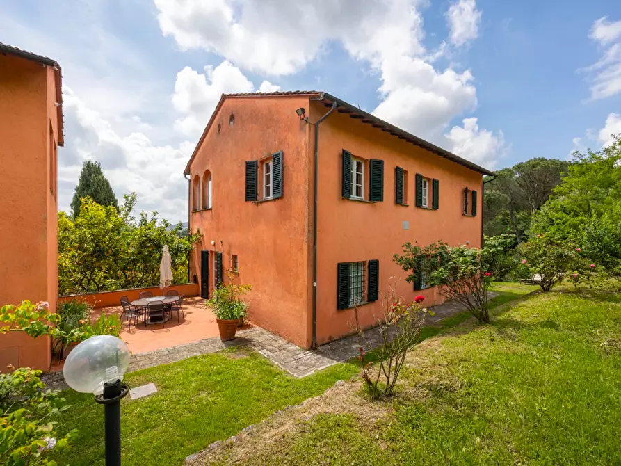 Immagine 13 di Casa colonica in vendita  a Vecchiano