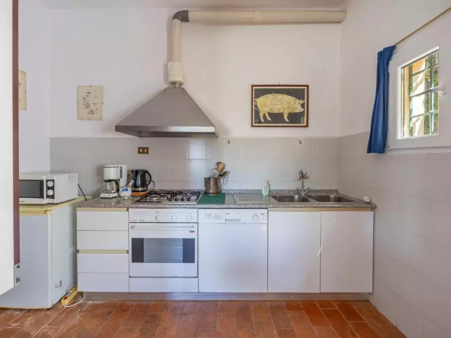 Immagine 14 di Casa colonica in vendita  a Vecchiano