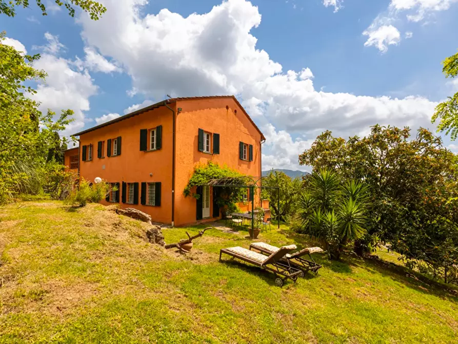 Immagine 14 di Casa colonica in vendita  a Vecchiano