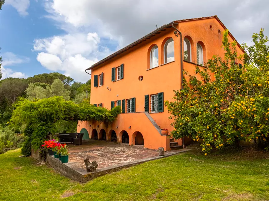 Immagine 9 di Casa colonica in vendita  a Vecchiano