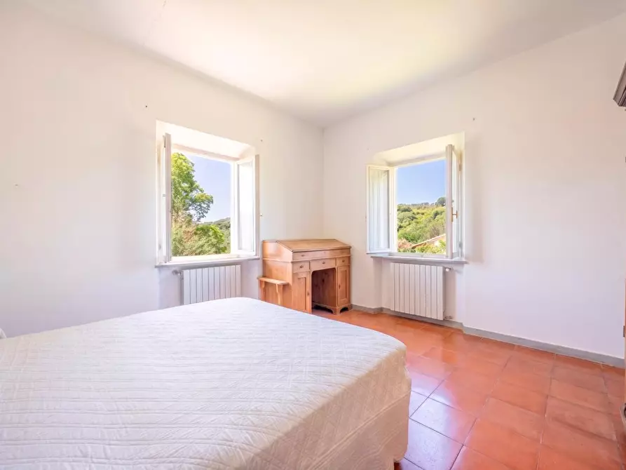 Immagine 67 di Casa colonica in vendita  a Vecchiano