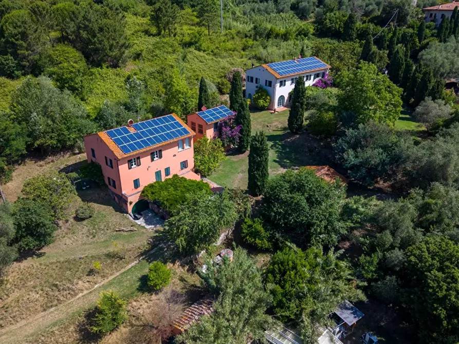 Immagine 4 di Casa colonica in vendita  a Vecchiano