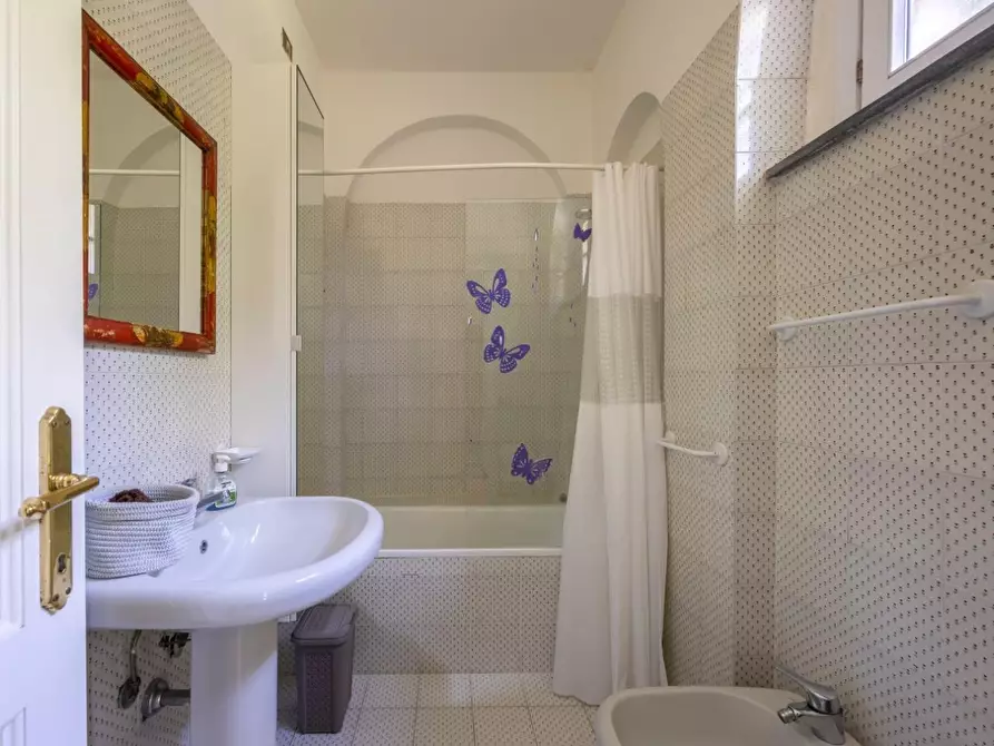 Immagine 48 di Casa colonica in vendita  a Vecchiano