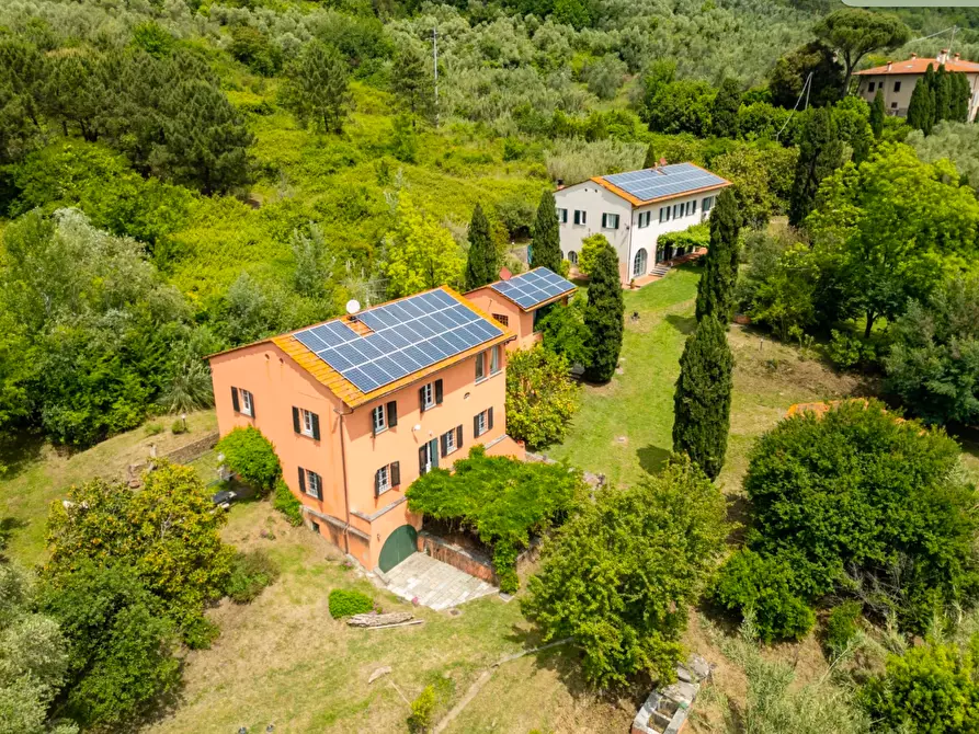 Immagine 4 di Casa colonica in vendita  a Vecchiano
