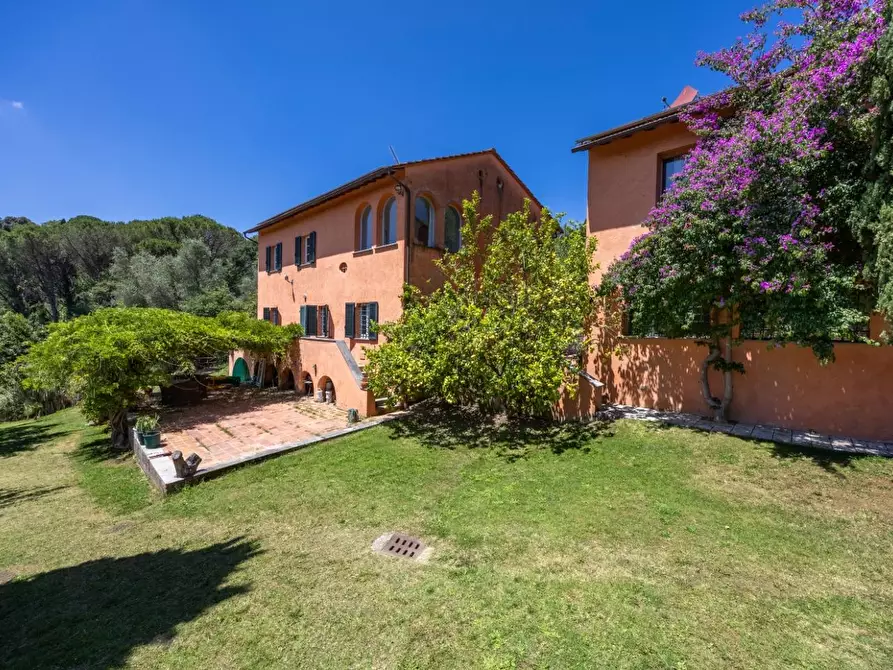 Immagine 90 di Casa colonica in vendita  a Vecchiano