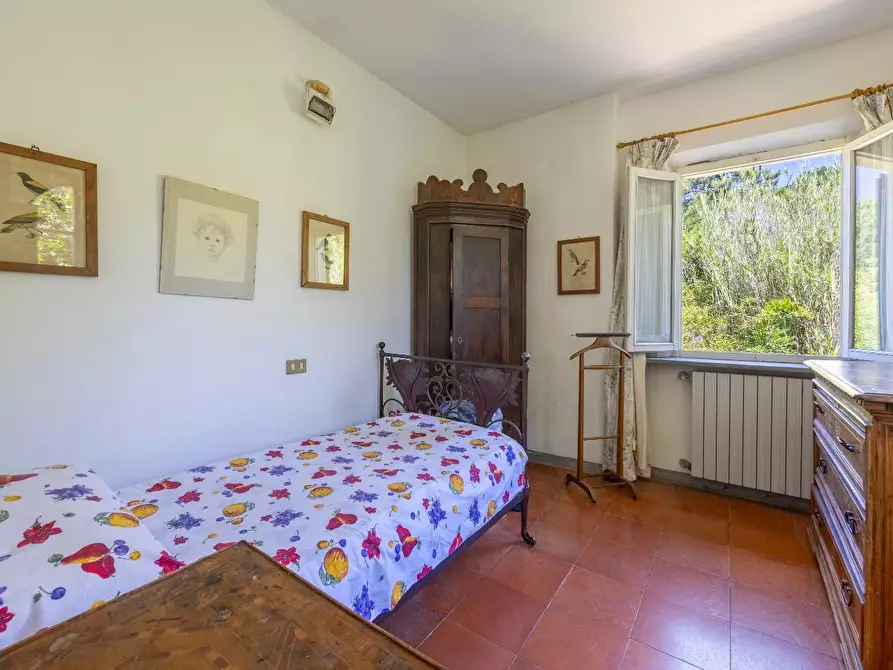 Immagine 58 di Casa colonica in vendita  a Vecchiano