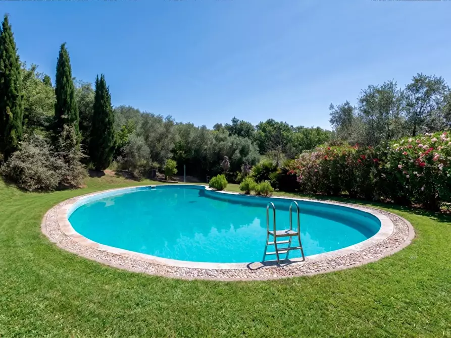 Immagine 2 di Casa colonica in vendita  a Vecchiano