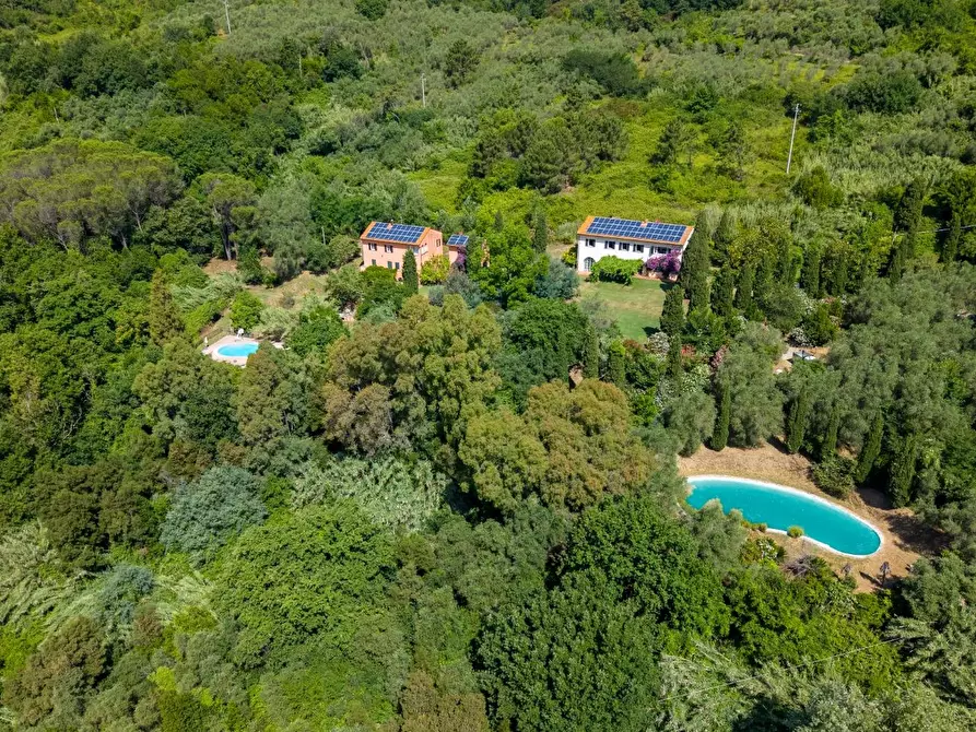Immagine 10 di Casa colonica in vendita  a Vecchiano