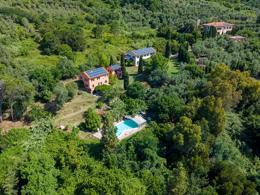 Immagine 6 di Casa colonica in vendita  a Vecchiano