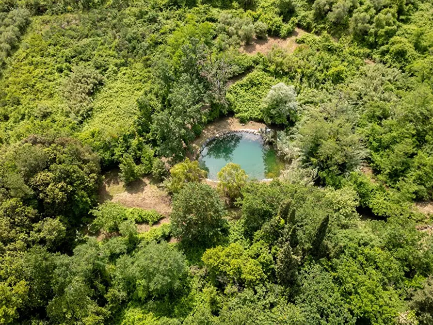 Immagine 97 di Casa colonica in vendita  a Vecchiano