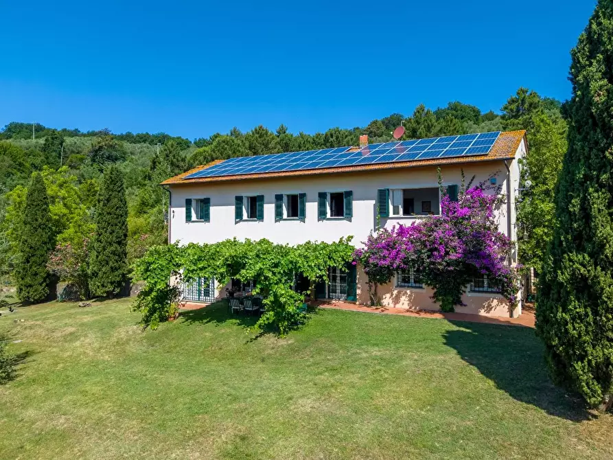 Immagine 8 di Casa colonica in vendita  a Vecchiano