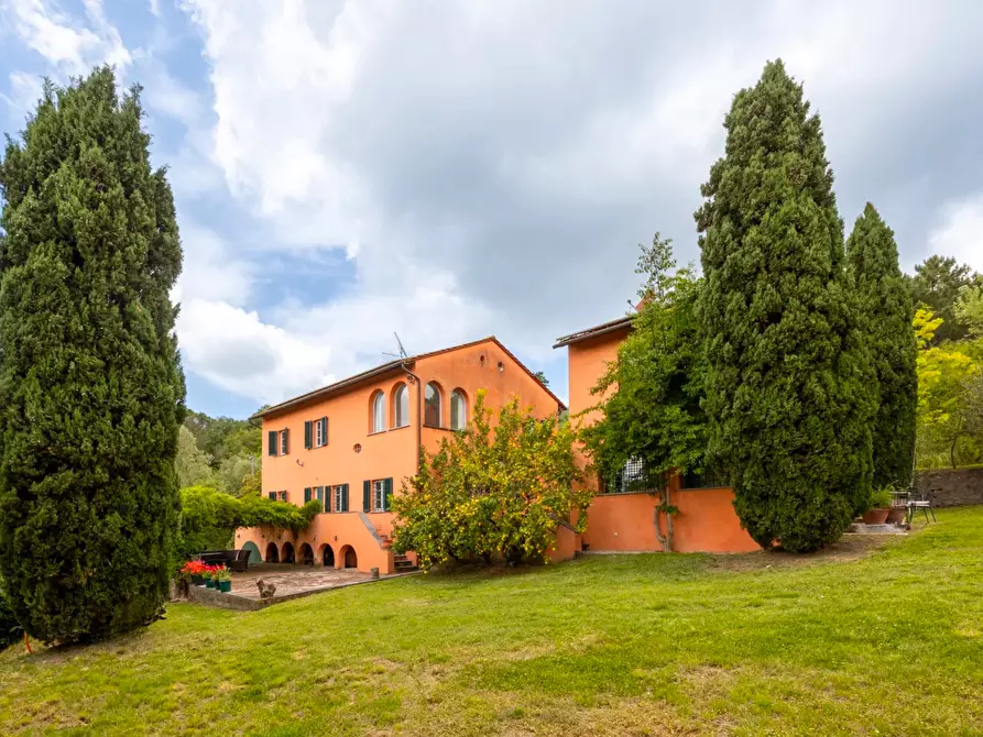 Immagine 6 di Casa colonica in vendita  a Vecchiano