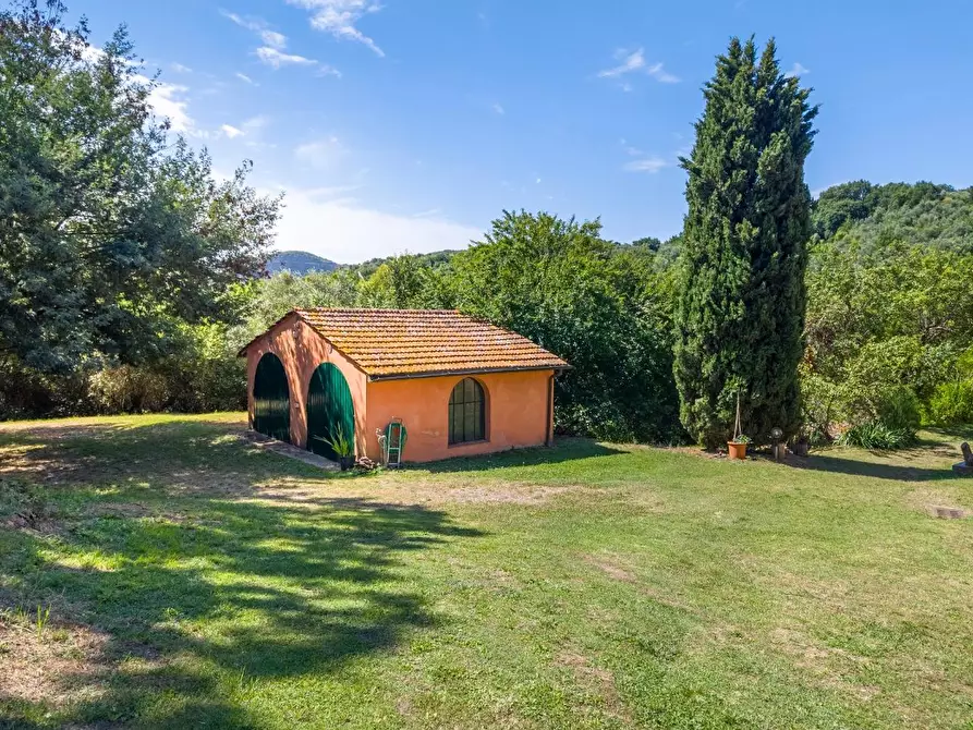 Immagine 7 di Casa colonica in vendita  a Vecchiano