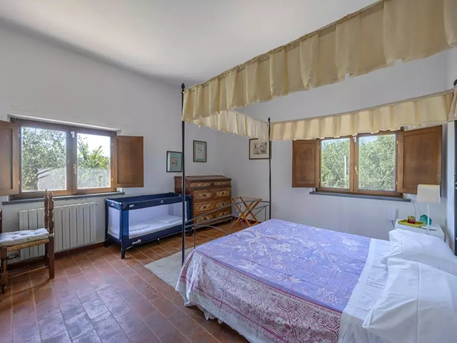 Immagine 15 di Casa colonica in vendita  a Vecchiano