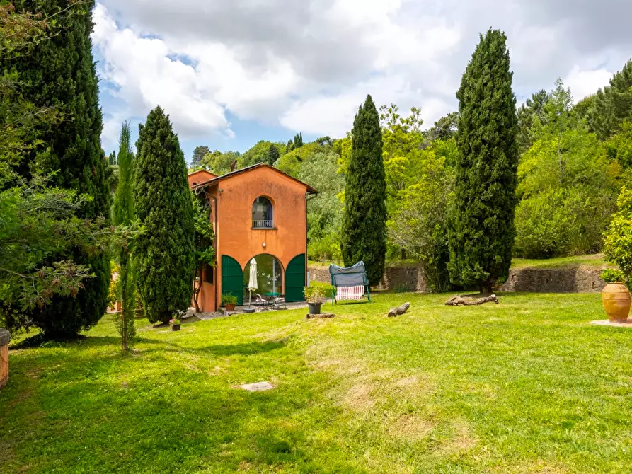 Immagine 15 di Casa colonica in vendita  a Vecchiano