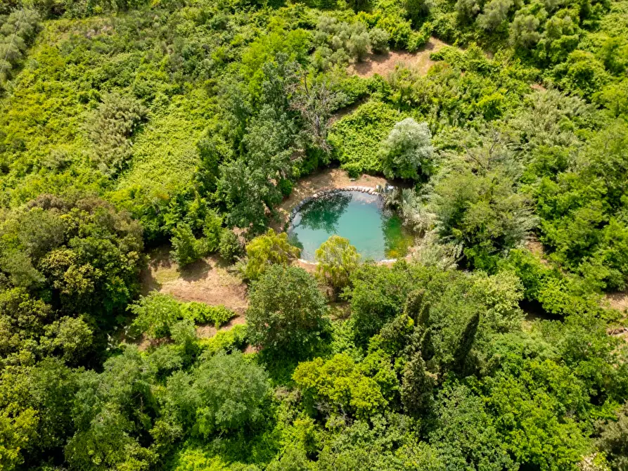Immagine 21 di Casa colonica in vendita  a Vecchiano