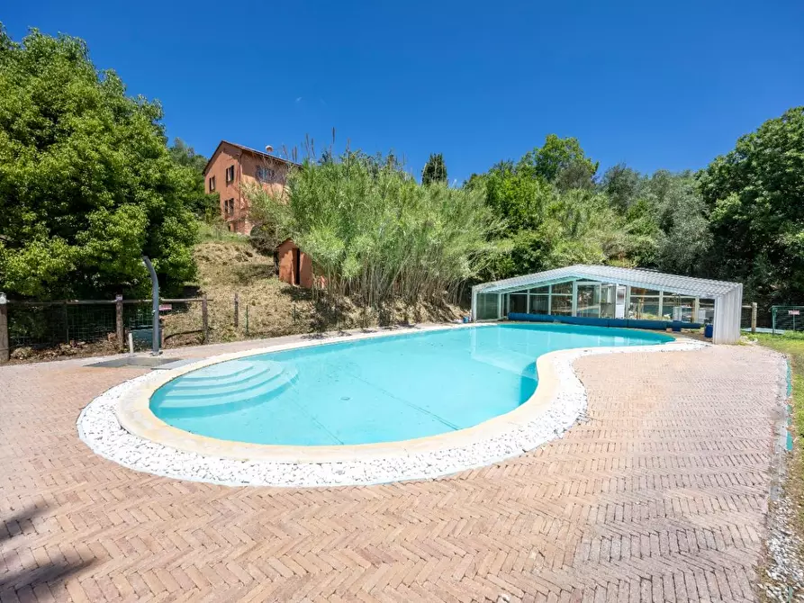 Immagine 92 di Casa colonica in vendita  a Vecchiano