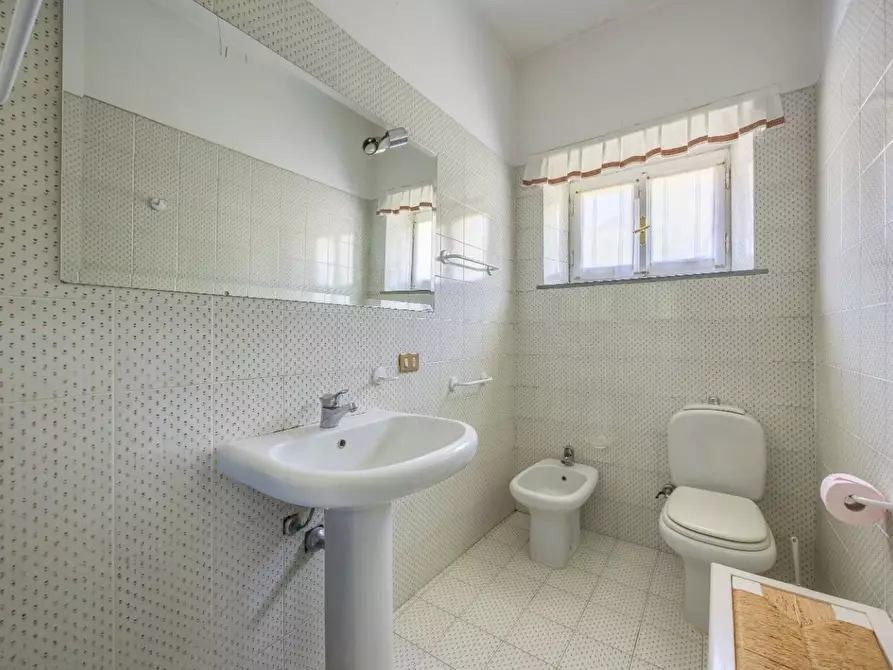 Immagine 66 di Casa colonica in vendita  a Vecchiano