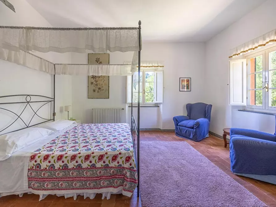 Immagine 26 di Casa colonica in vendita  a Vecchiano