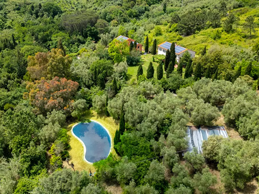 Immagine 19 di Casa colonica in vendita  a Vecchiano