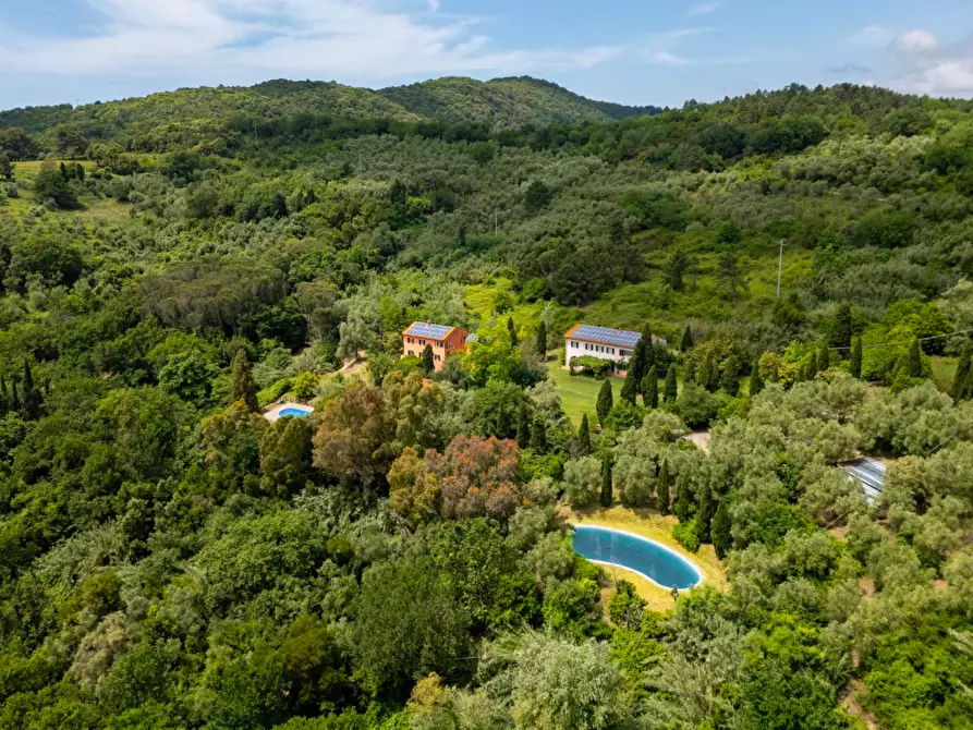 Immagine 20 di Casa colonica in vendita  a Vecchiano