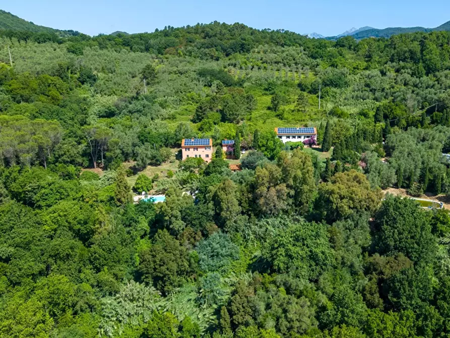 Immagine 11 di Casa colonica in vendita  a Vecchiano