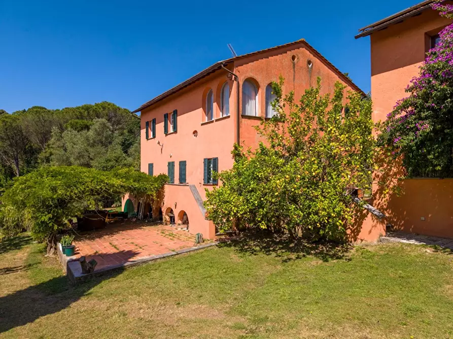 Immagine 81 di Casa colonica in vendita  a Vecchiano