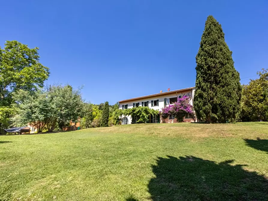 Immagine 3 di Casa colonica in vendita  a Vecchiano