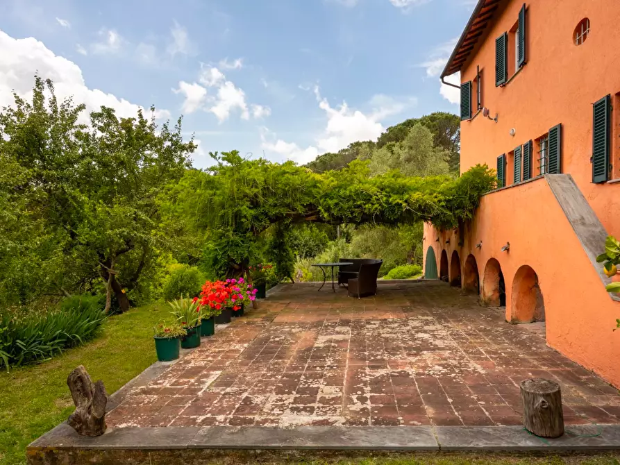 Immagine 8 di Casa colonica in vendita  a Vecchiano