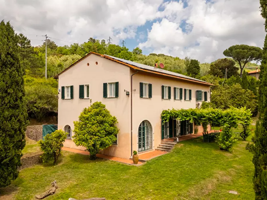 Immagine 76 di Casa colonica in vendita  a Vecchiano