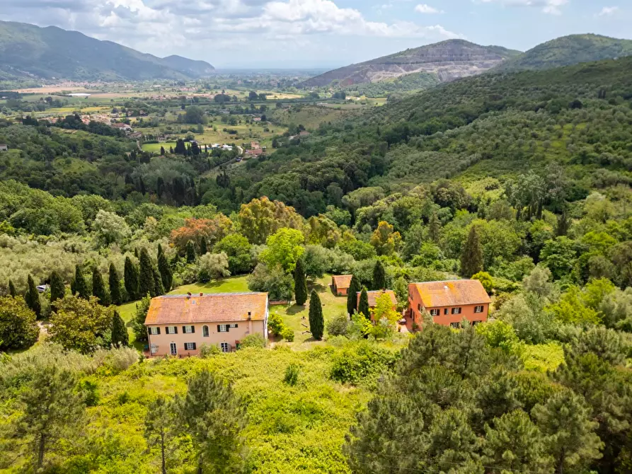 Immagine 5 di Casa colonica in vendita  a Vecchiano