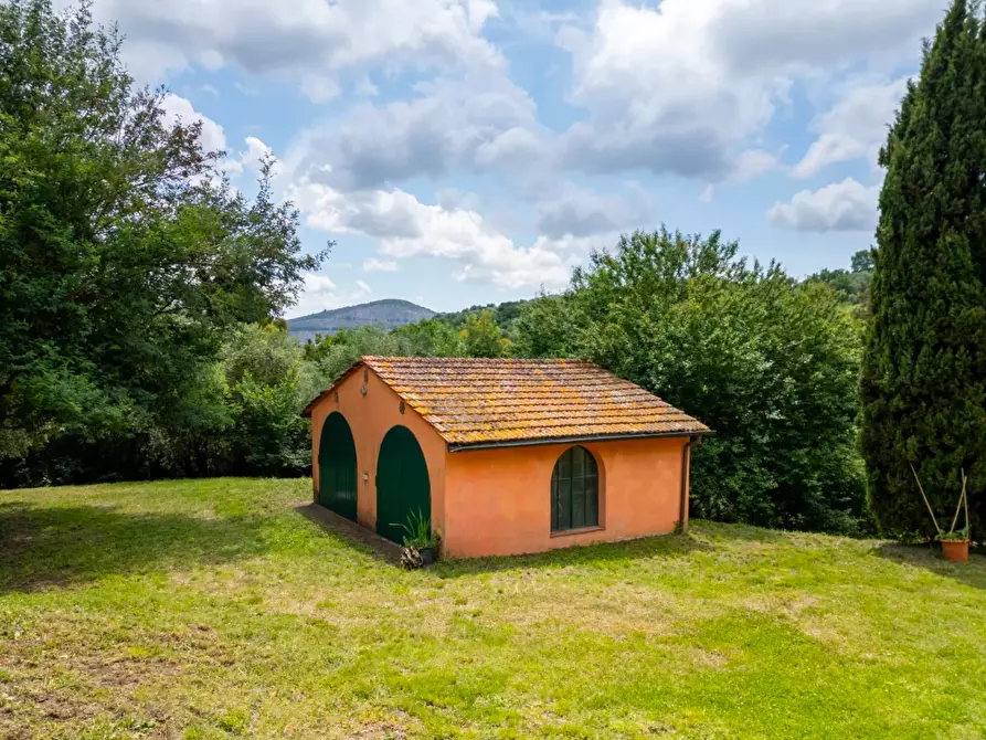 Immagine 17 di Casa colonica in vendita  a Vecchiano