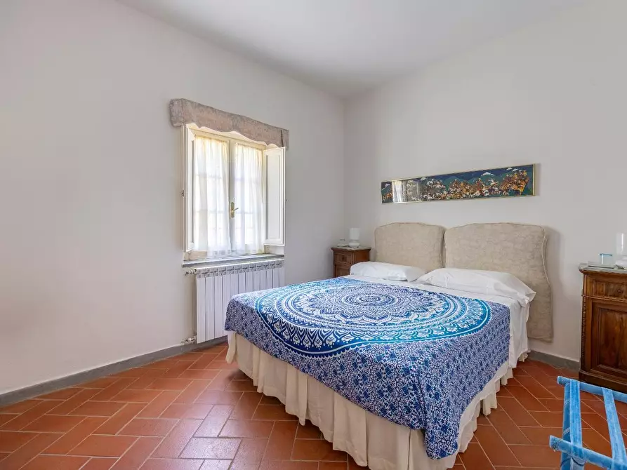 Immagine 45 di Casa colonica in vendita  a Vecchiano