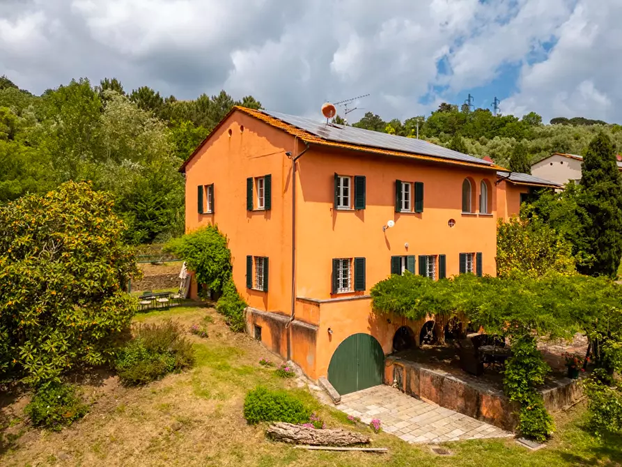 Immagine 7 di Casa colonica in vendita  a Vecchiano