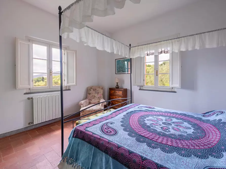 Immagine 64 di Casa colonica in vendita  a Vecchiano