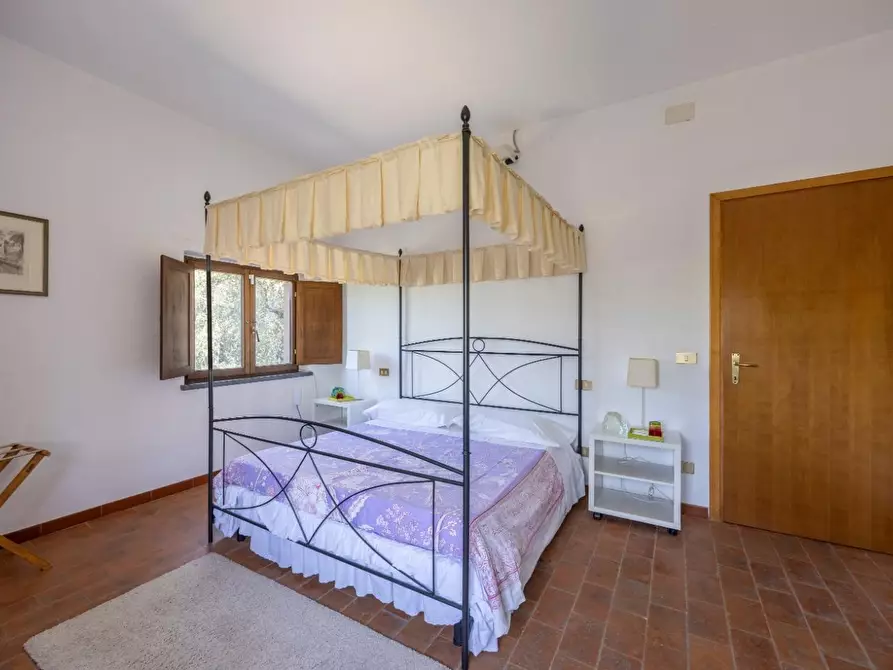 Immagine 16 di Casa colonica in vendita  a Vecchiano