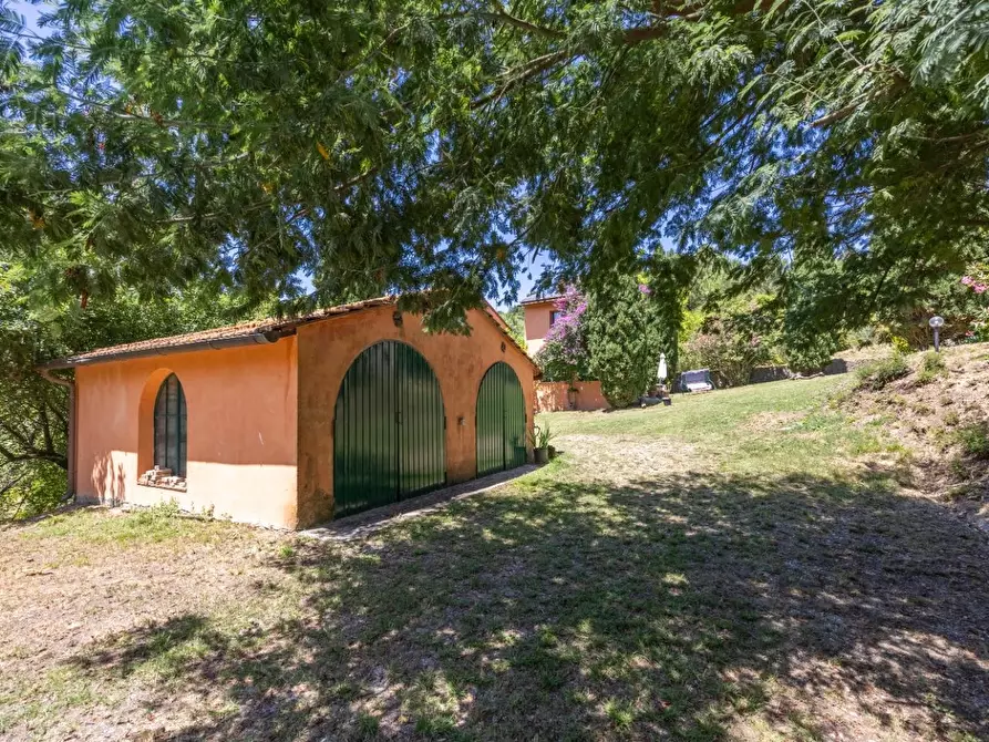 Immagine 93 di Casa colonica in vendita  a Vecchiano