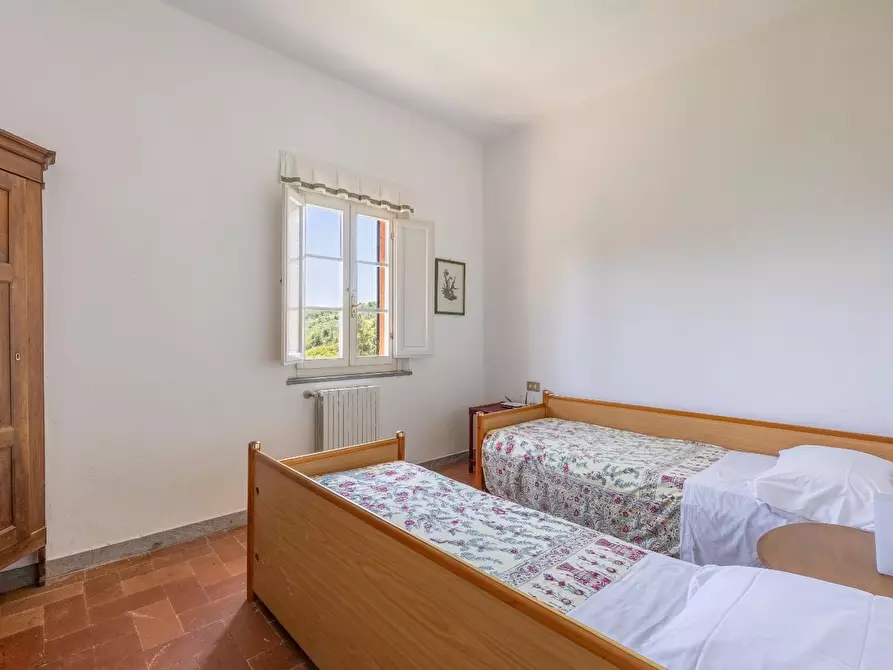 Immagine 24 di Casa colonica in vendita  a Vecchiano