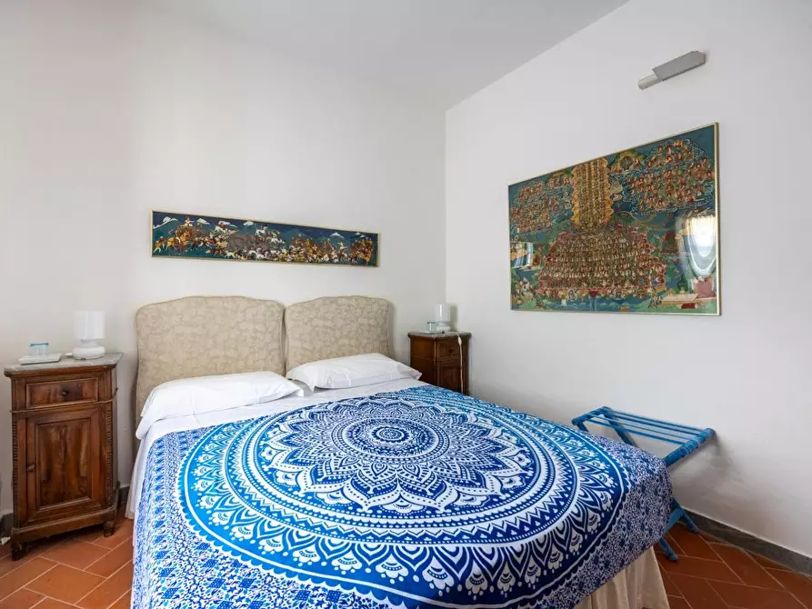 Immagine 46 di Casa colonica in vendita  a Vecchiano