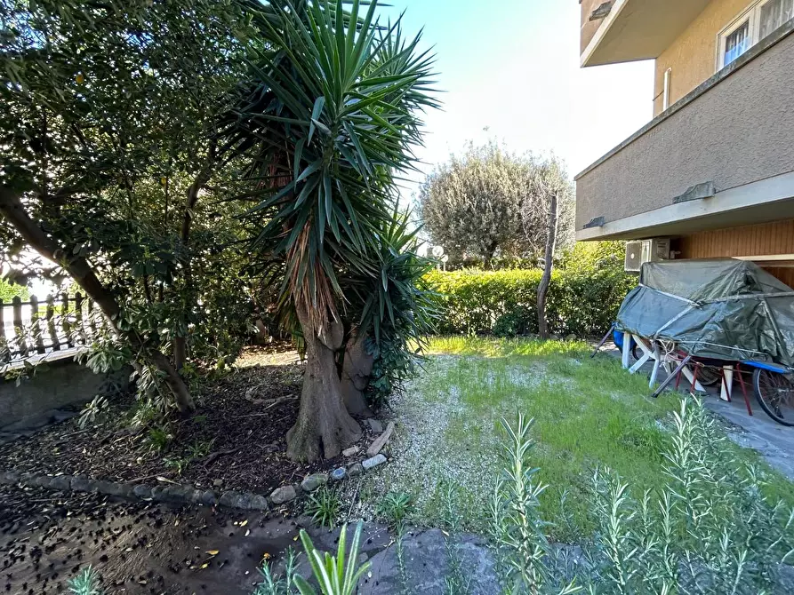 Immagine 32 di Casa semindipendente in vendita  a Rosignano Marittimo